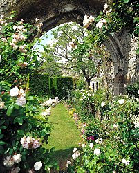 English gardens at Amberly Castle