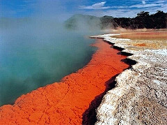 Fascinating geothermal activity on the North Island