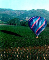 Ballooning over wine country