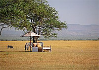Honeymoon Bliss in the Serengeti