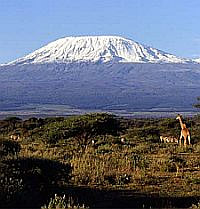 Arusha & Mt. Kilimanjaro