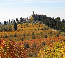 Autumn at Castello Banfi