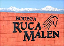 Visit the best bodegas