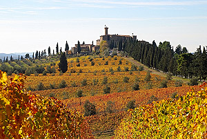 Castello Banfi - Il Borgo