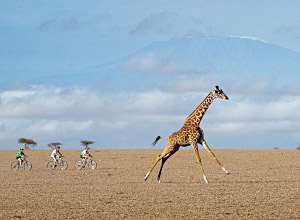 Ol Donyo Lodge